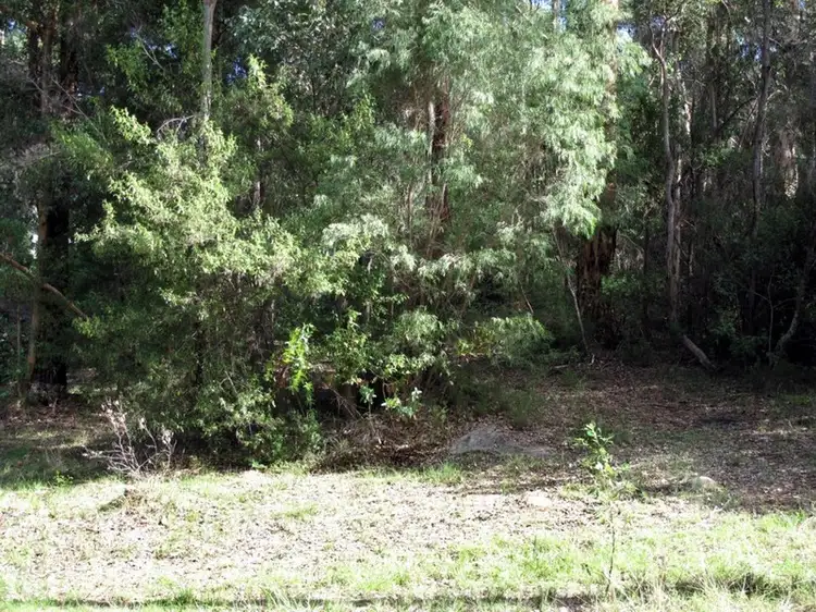 Fifth view of Homely land listing, 50 Bracknell Cres, Denmark WA 6333