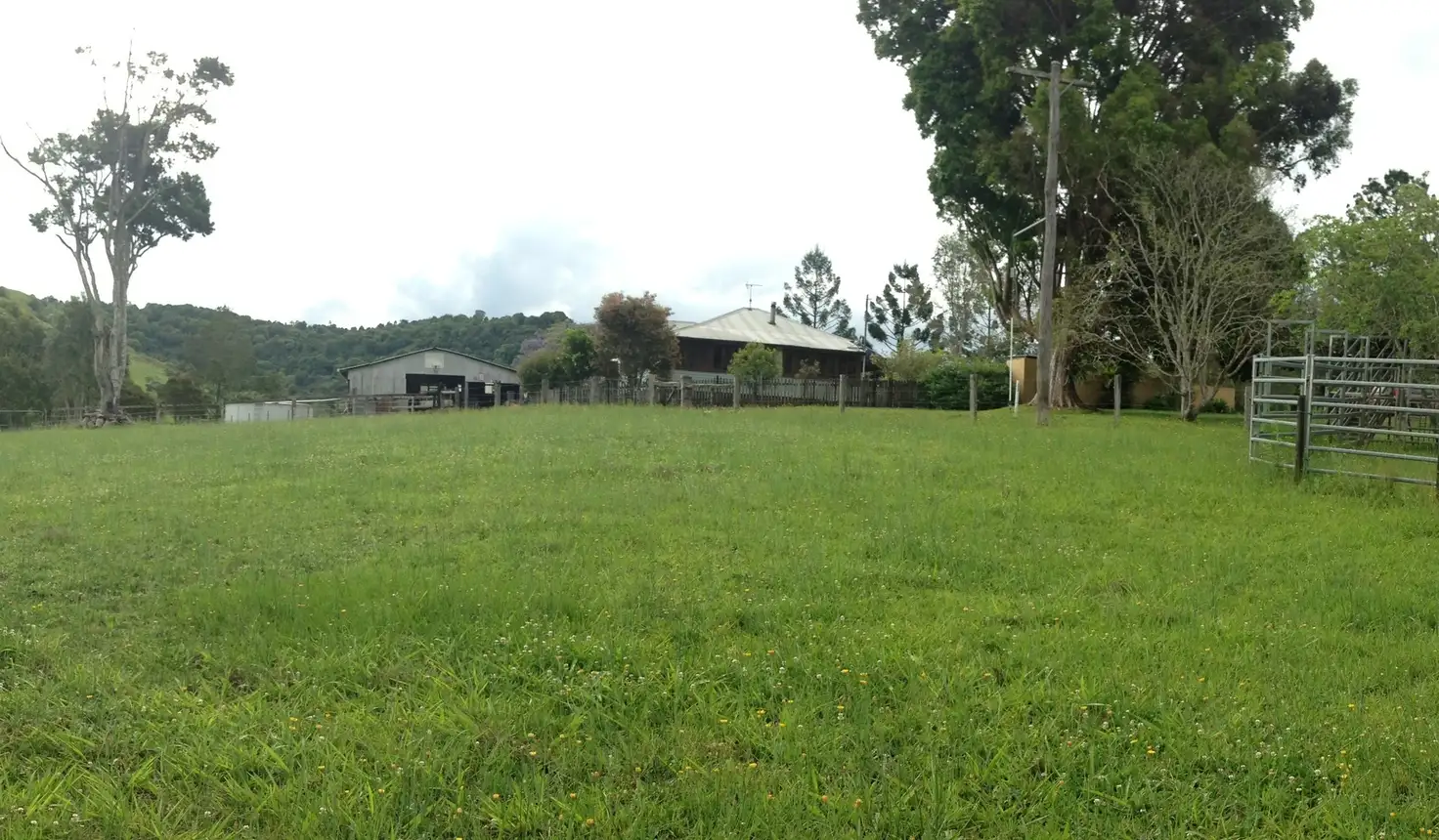 Main view of Homely rural property listing, 1011 Pinchin Rd, The Channon NSW 2480