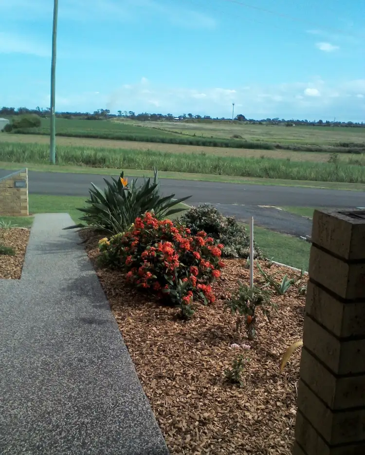 Seventh view of Homely house listing, 214 Avoca Road, Avoca QLD 4670