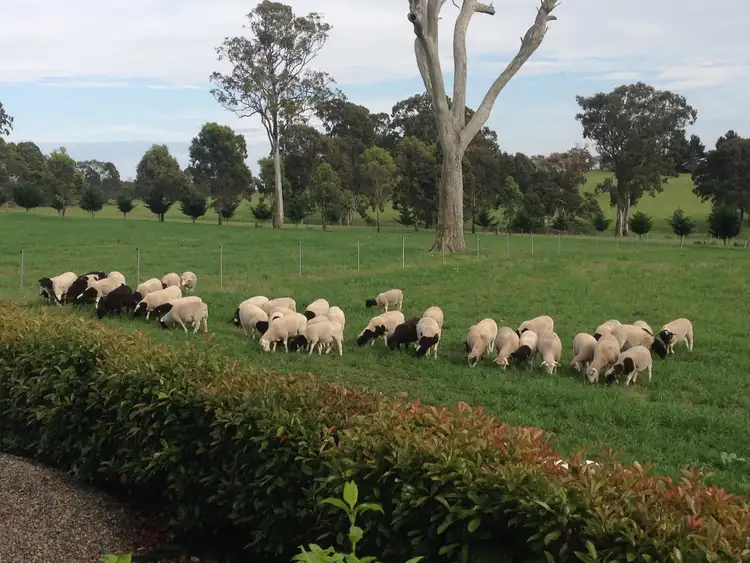 Sixth view of Homely rural property listing, 705 Caoura Road, Tallong NSW 2579
