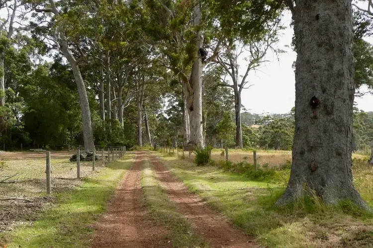 Second view of Homely rural property listing, 1517 South Coast Hwy, Denmark WA 6333