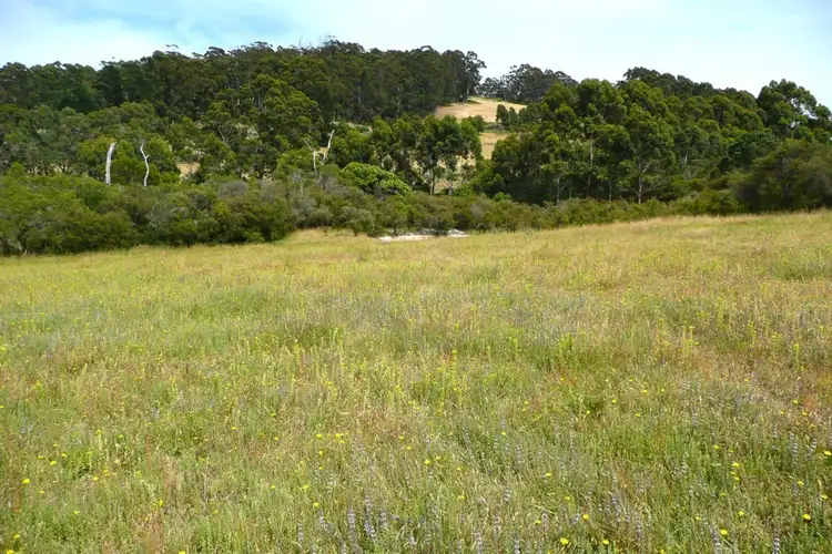 Sixth view of Homely rural property listing, 1517 South Coast Hwy, Denmark WA 6333