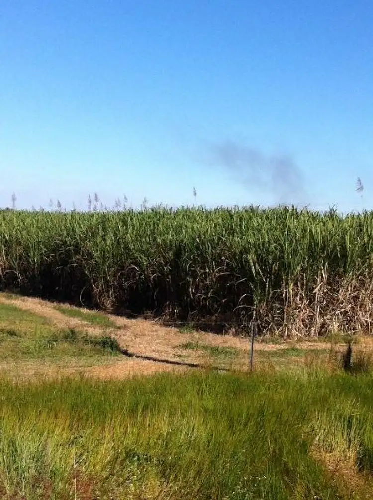 Fifth view of Homely rural property listing, Address available on request