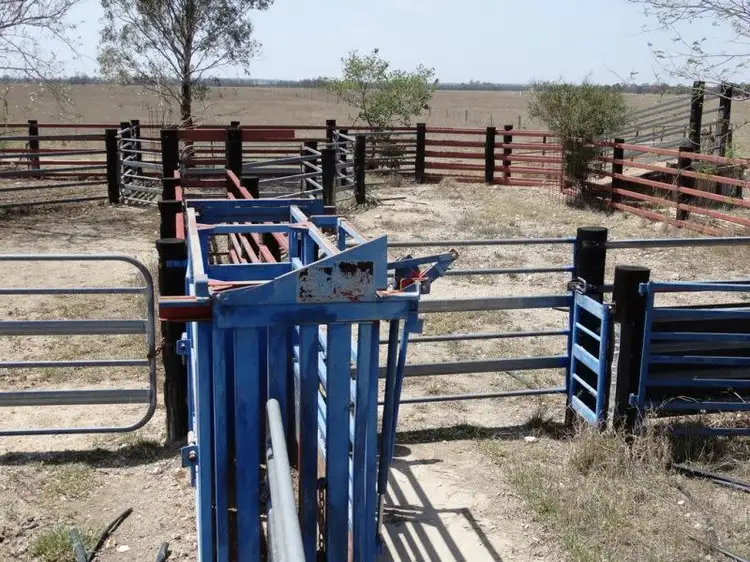 . Greenacres 891 ACRES, Chinchilla QLD 4413