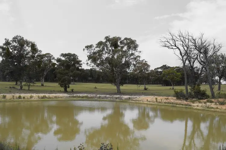 Lot 2 Turon Gates Road, Capertee NSW 2846