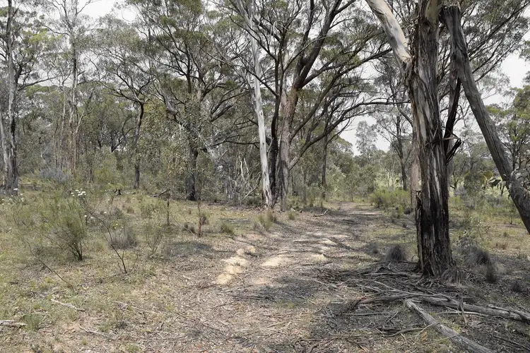 Seventh view of Homely rural property listing, 147 Turon Gates Road, Capertee NSW 2846