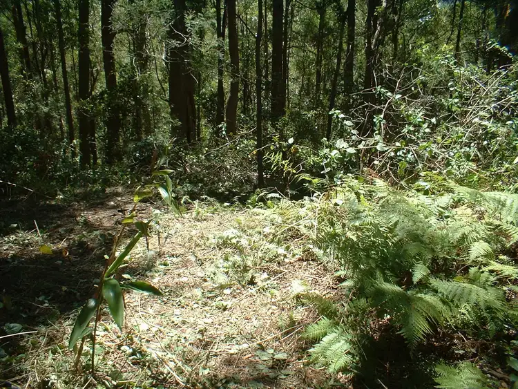 Lot 3 Harland Road, Mount Glorious QLD 4520