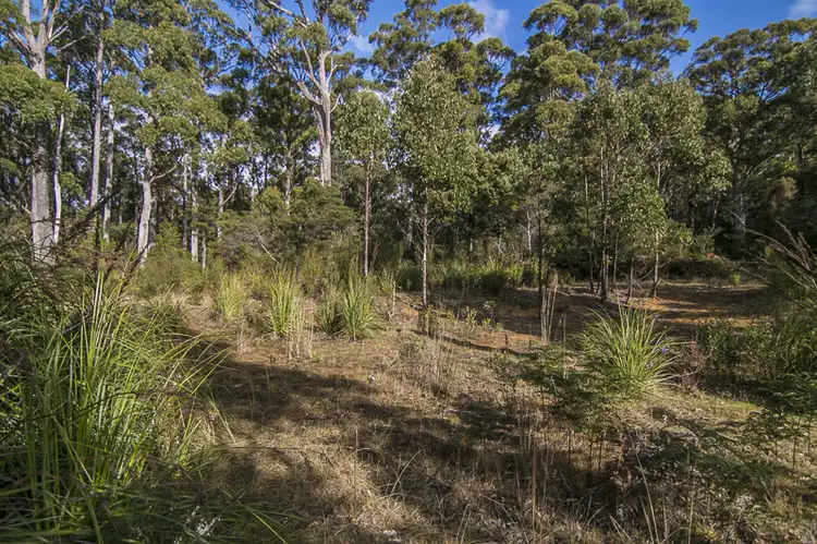 Fifth view of Homely land listing, Lot 1 Jager Road, Southport TAS 7109