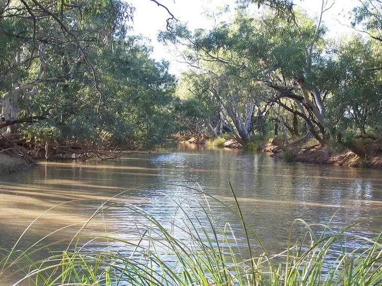 446 Nickavilla Road, Quilpie QLD 4480