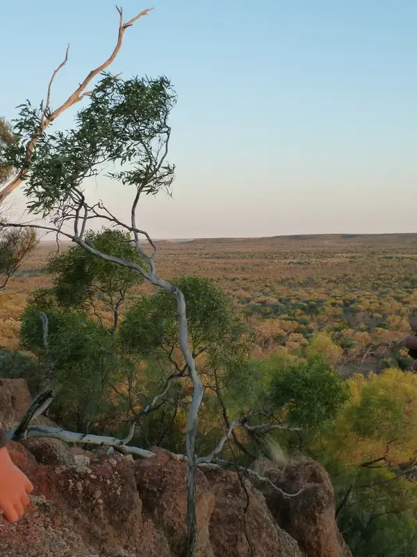 Sixth view of Homely rural property listing, 446 Nickavilla Road, Quilpie QLD 4480