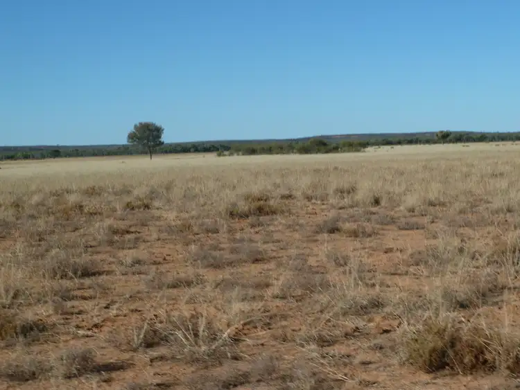 Seventh view of Homely rural property listing, 446 Nickavilla Road, Quilpie QLD 4480