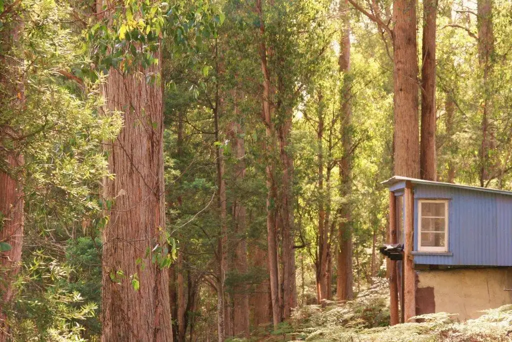 Main view of Homely rural property listing, 3000 Jacksons Rd, Franklin TAS 7113