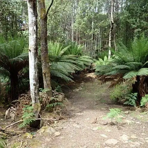 Sixth view of Homely rural property listing, 3000 Jacksons Rd, Franklin TAS 7113