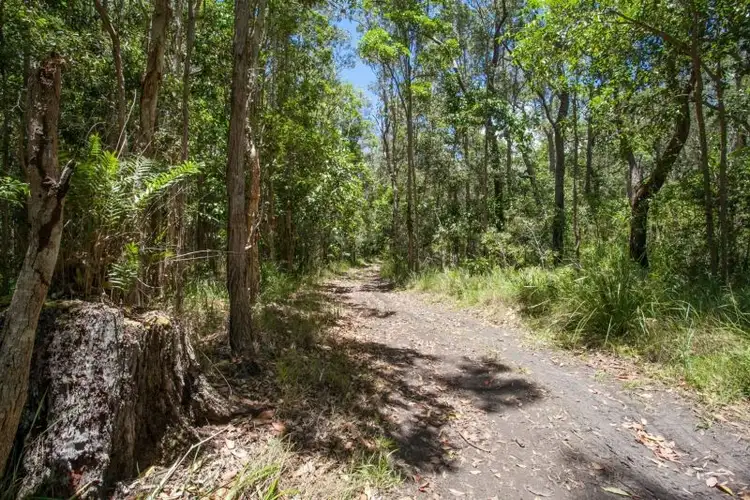 55 Lake Flat Road, Boreen Point QLD 4565