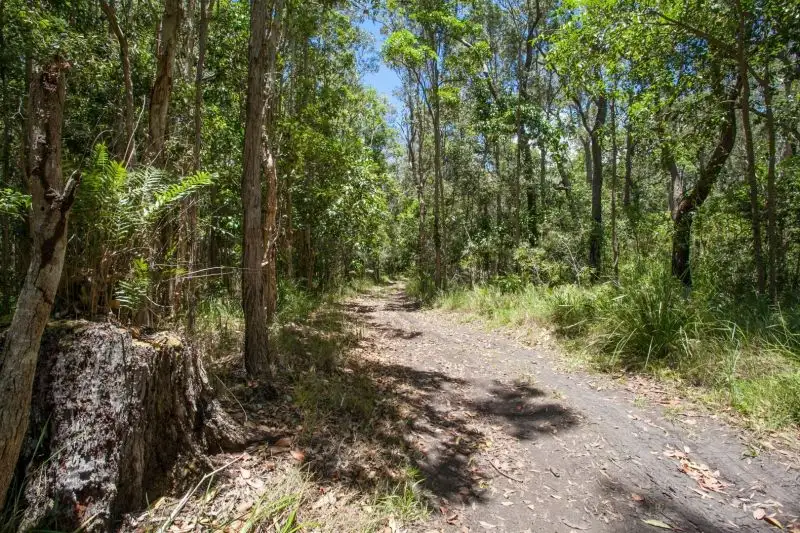 Main view of Homely land listing, 55 Lake Flat Road, Boreen Point QLD 4565
