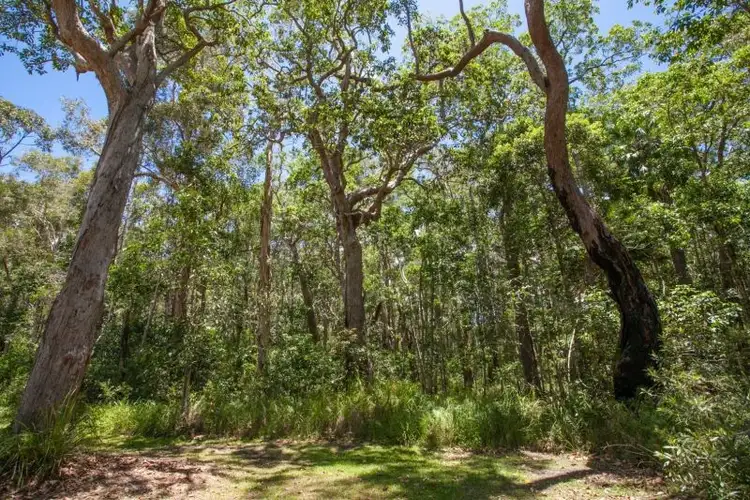 Fifth view of Homely land listing, 55 Lake Flat Road, Boreen Point QLD 4565