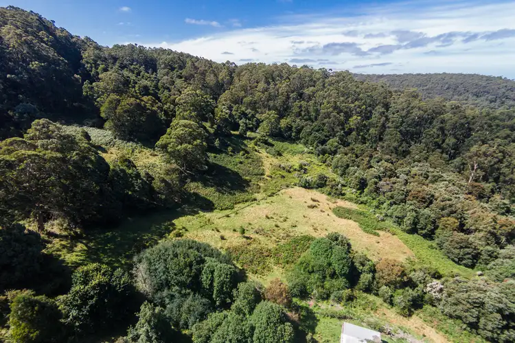 Fourth view of Homely land listing, 290 Kennett Road, Kennett River VIC 3234