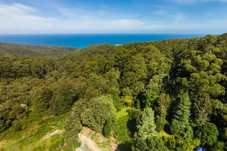Seventh view of Homely land listing, 290 Kennett Road, Kennett River VIC 3234