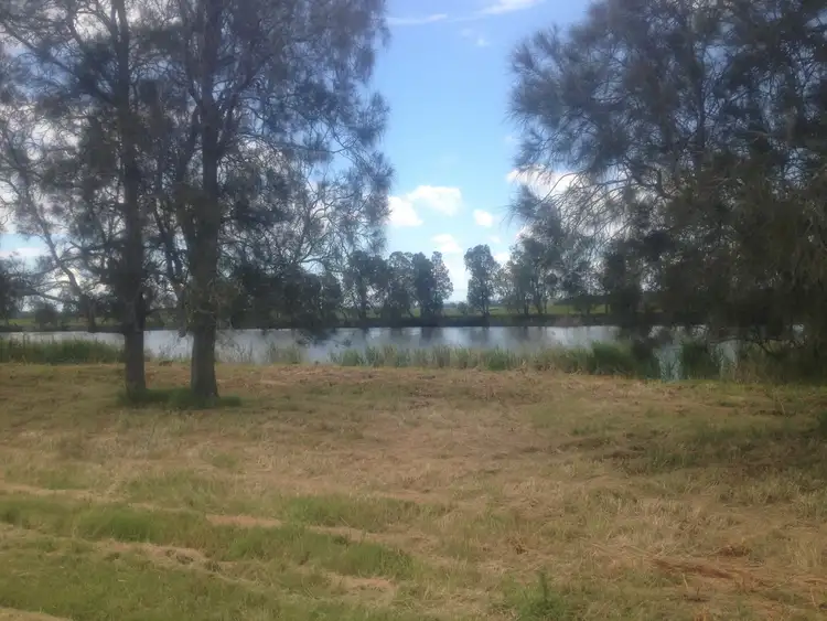 Fifth view of Homely rural property listing, 851 Newline Road, Eagleton NSW 2324