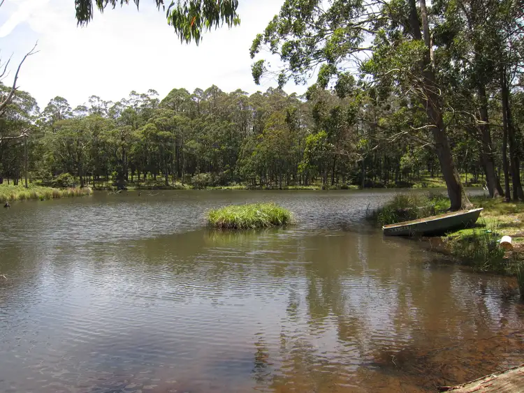 Third view of Homely rural property listing, 9807 Thunderbolts Way, Nowendoc NSW 2354