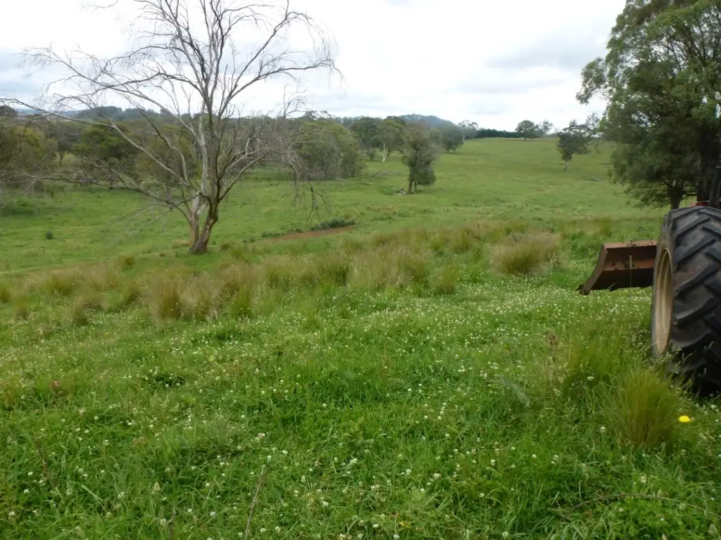 Main view of Homely rural property listing, 580 Hell Hole Road, Nowendoc NSW 2354