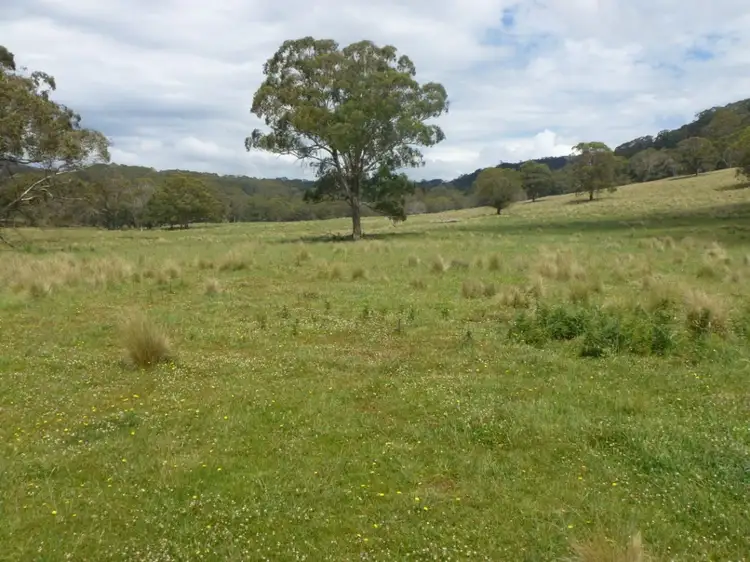 Second view of Homely rural property listing, 580 Hell Hole Road, Nowendoc NSW 2354