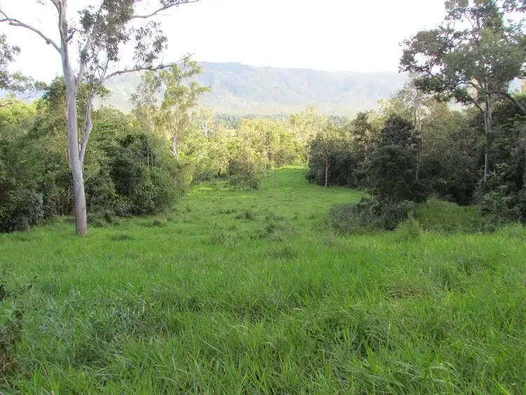 Seventh view of Homely rural property listing, 5204 Abergowrie Rd, Abergowrie QLD 4850