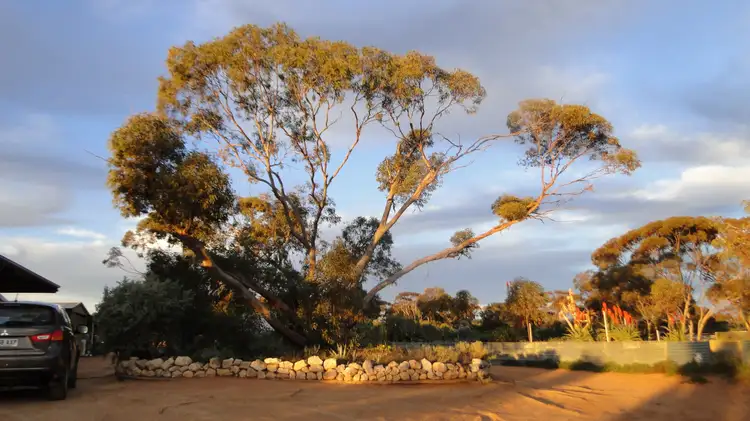 Second view of Homely rural property listing, 190 RING ROAD, Morgan SA 5320