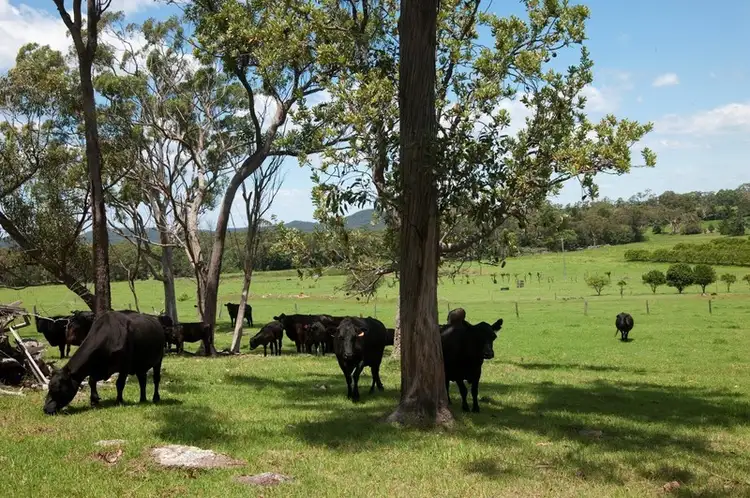 45 Cooks Rd, Calga NSW 2250