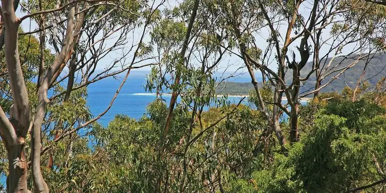 Main view of Homely house listing, 3 McRae Road, Wye River VIC 3221