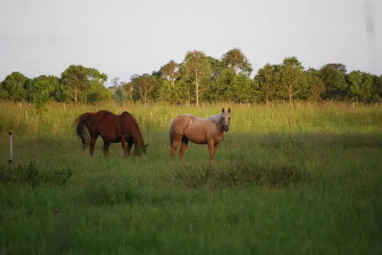 Second view of Homely rural property listing, Address available on request