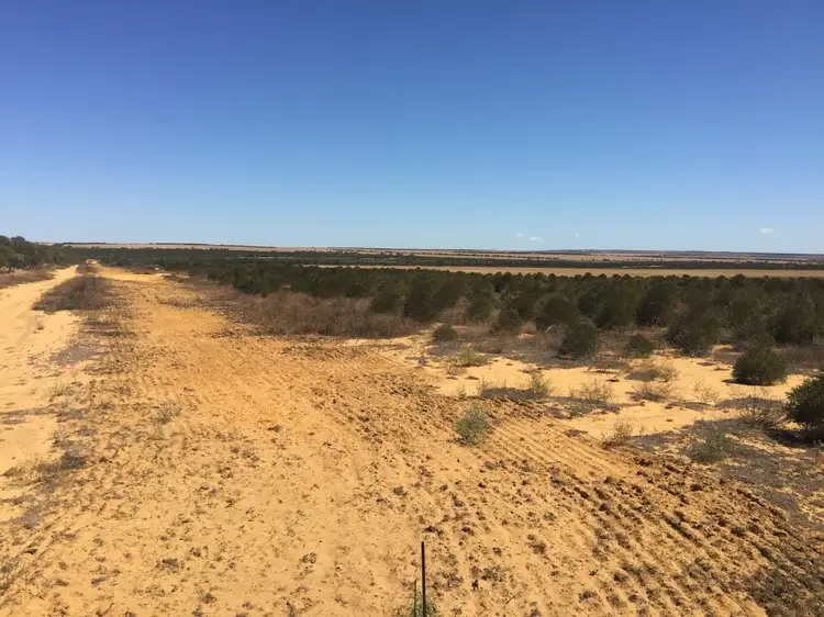 Main view of Homely rural property listing, 9 Beamont Road, Mullewa WA 6630