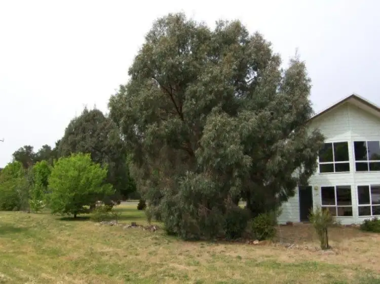 Second view of Homely house listing, 51 Service St, Porepunkah VIC 3740