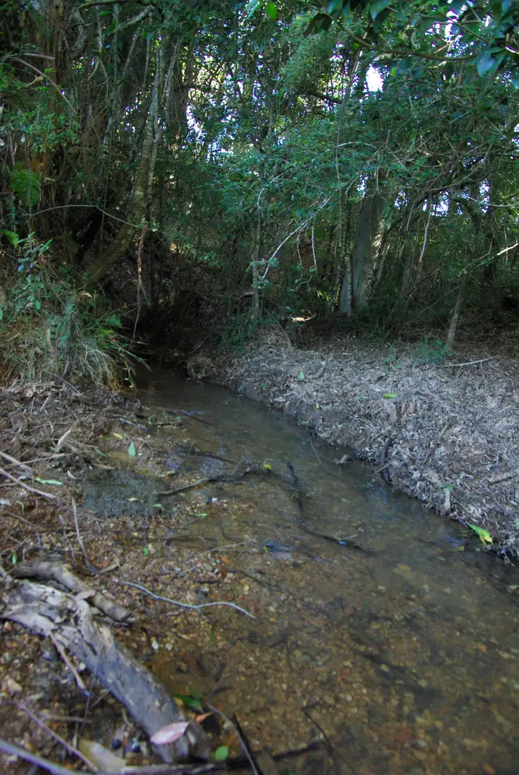 Seventh view of Homely land listing, Lot 3 Schultz Road, Billys Creek NSW 2453