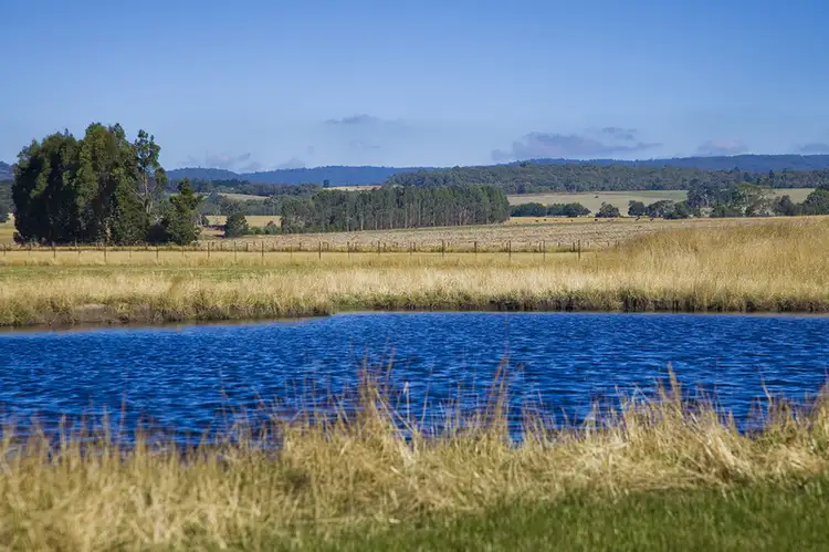 Seventh view of Homely land listing, 115 Barholme Lane, Deans Marsh VIC 3235
