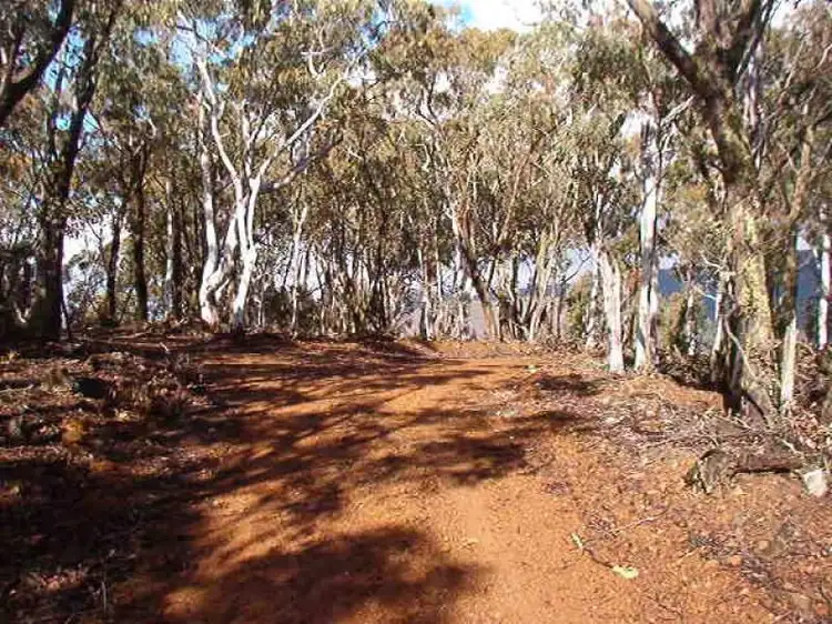 Third view of Homely land listing, Highview Court, Omeo VIC 3898