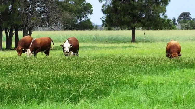 Rangeview 639 Acres, Chinchilla QLD 4413