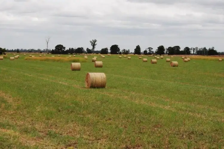 Third view of Homely rural property listing, Rangeview 639 Acres, Chinchilla QLD 4413