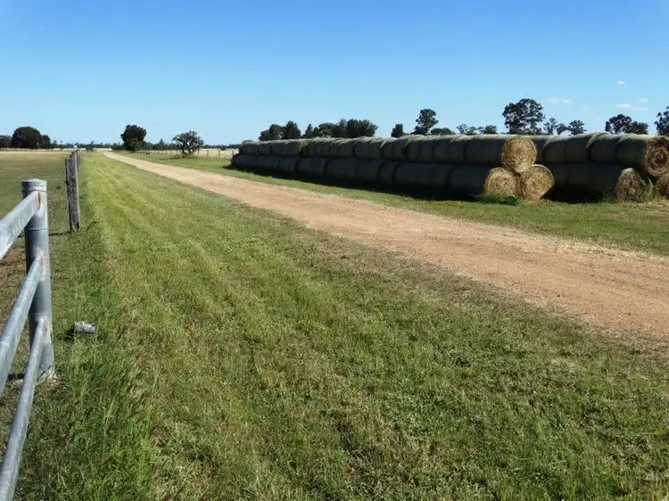 Fifth view of Homely rural property listing, Rangeview 639 Acres, Chinchilla QLD 4413