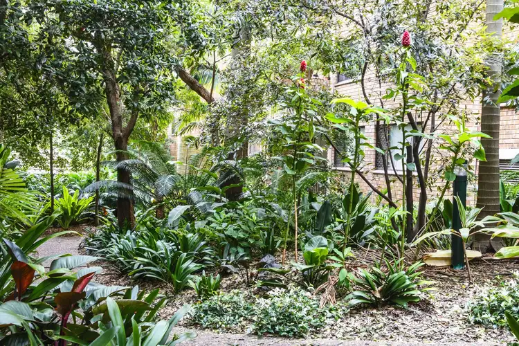 Sixth view of Homely unit listing, 67/267-319 Bulwara Road, Ultimo NSW 2007