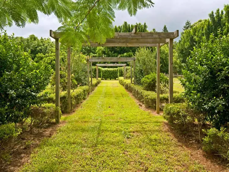 Seventh view of Homely rural property listing, 81 Lanes Road, Wongawallan QLD 4210