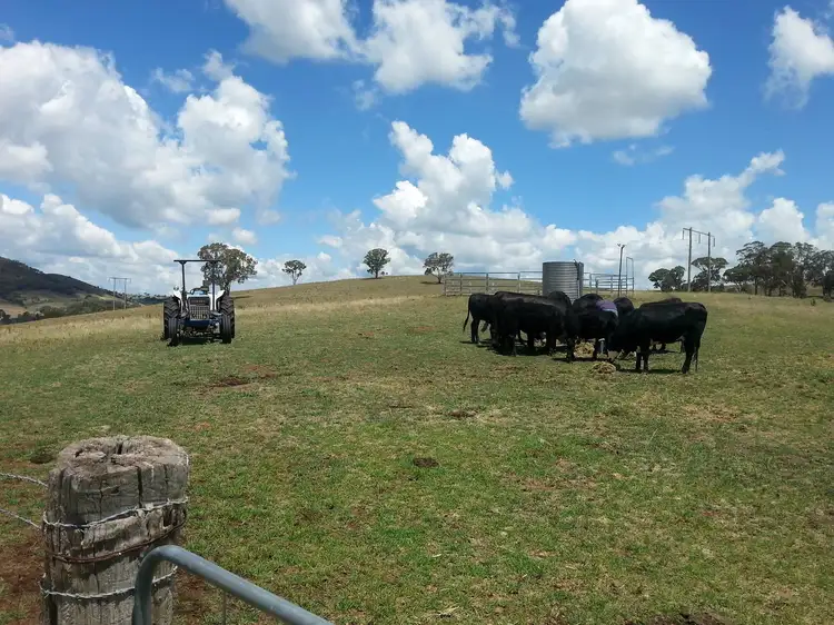Fourth view of Homely rural property listing, 280 White Rocks Road, Lewis Ponds NSW 2800