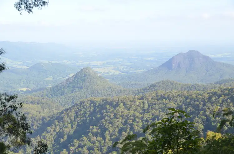 2784 Comboyne Rd, Killabakh NSW 2429