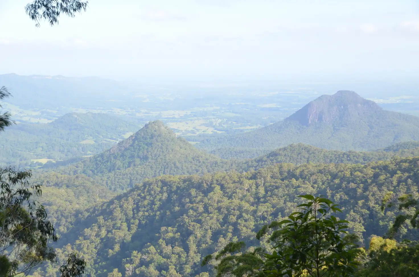 Main view of Homely rural property listing, 2784 Comboyne Rd, Killabakh NSW 2429