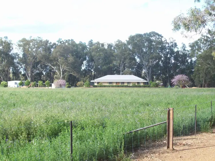 2724 Ellengerah Rd, Warren NSW 2824