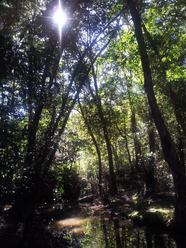 Seventh view of Homely house listing, 25 Belleden Place, Cooroy QLD 4563