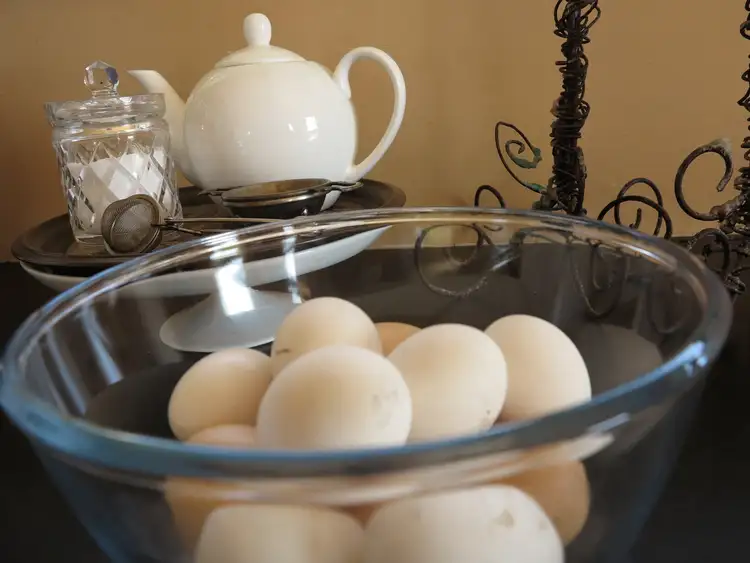 Sixth view of Homely rural property listing, 147 Marsh Road, Nubeena TAS 7184