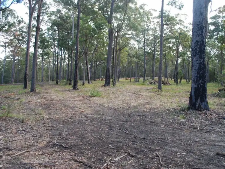 Main view of Homely land listing, Lot 244 Millingandi Ridge Road, Millingandi NSW 2549
