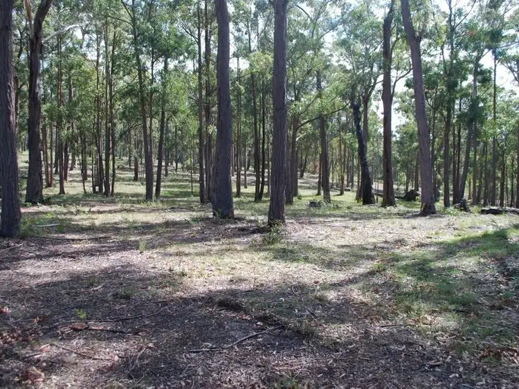 Main view of Homely land listing, Lot 242 Millingandi Ridge Road, Millingandi NSW 2549