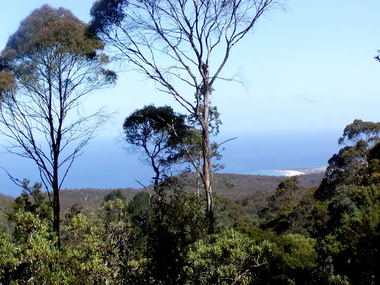 P2287 Mount Elephant Road, St Marys TAS 7215
